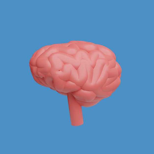 Anatomie des menschlichen Konzepts realistischer 3D-Objekt-Cartoon-Stil