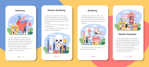 Anatomie schule thema mobile anwendung banner set