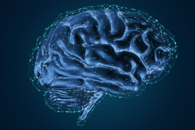 Anatomisches menschliches Gehirn Mesh Vektor wissenschaftliches Artikeldesign und medizinische Broschüre