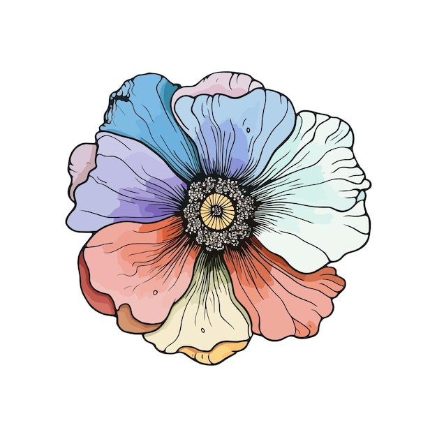 Anemonenblume