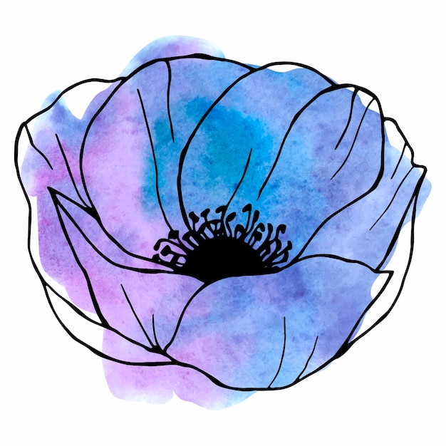 Vektor anemonenlinie kunstblume auf aquarellhintergrund florales element für design