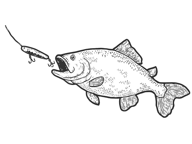 Angeln fisch schluckt köder skizze kratzbrett nachahmung schwarz und weiß
