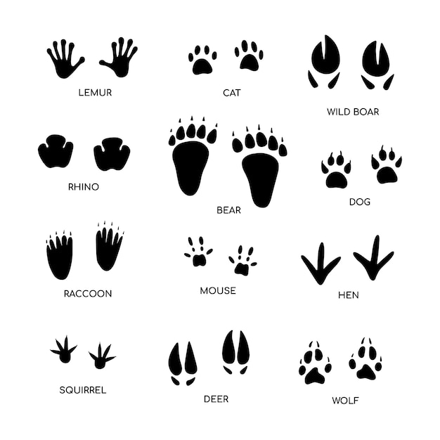 Animal footprint guide collection handgezeichnete vektorillustration auf weißem hintergrund