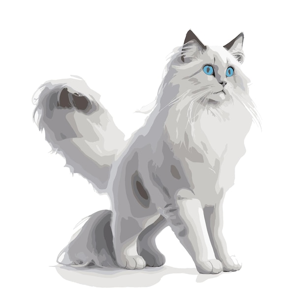 Anmutige ragdoll-vektorillustration bearbeitbare katzenillustration vektorkunst