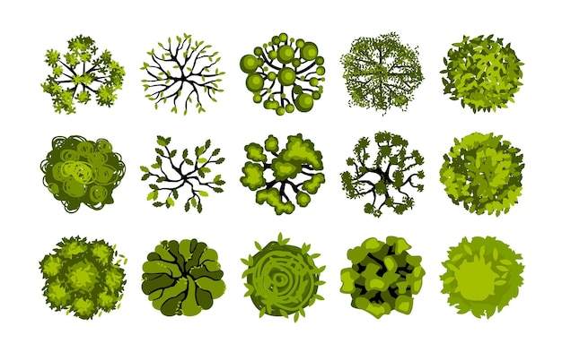 Ansicht von oben auf den baum. gartenpflanzen und büsche für die luftplanung, vogelaugenarchitektur naturlandschaftselemente. vektor-illustration architektonischen botanischen park-design-set