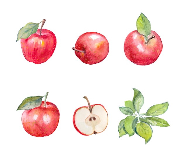 Apfel, rote Äpfel, Früchte, Aquarelllebensmittel