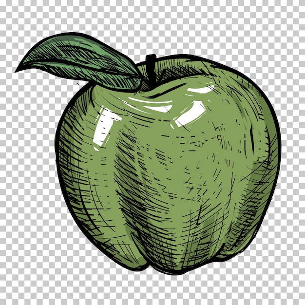 Apfelzeichnung, ein grüner apfel, ein grüner apfel, ein blatt, ein blatt, eine skizze png clipart