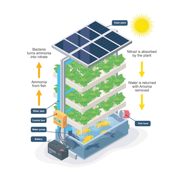 Aquaponic system smart farming isometrisch