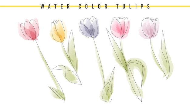 Aquarell abstrakte Tulpen für Karteneinladungshintergrund-Blumenvektor