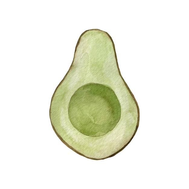 Aquarell Avocado Handgezeichnete organische grüne Avocadoscheibe