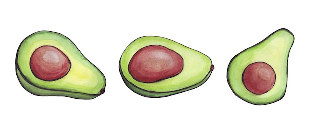 Aquarell Avocado