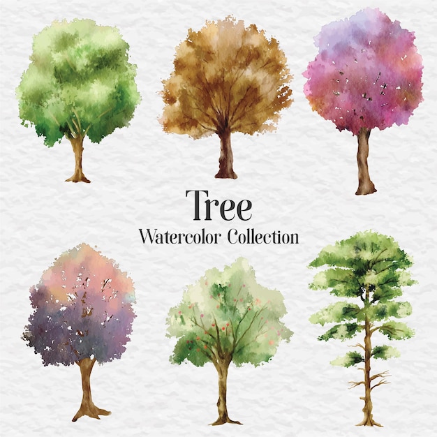 Aquarell-Baum-Clip-Art-Illustration