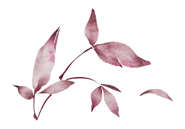 Aquarell Blätter Zweig