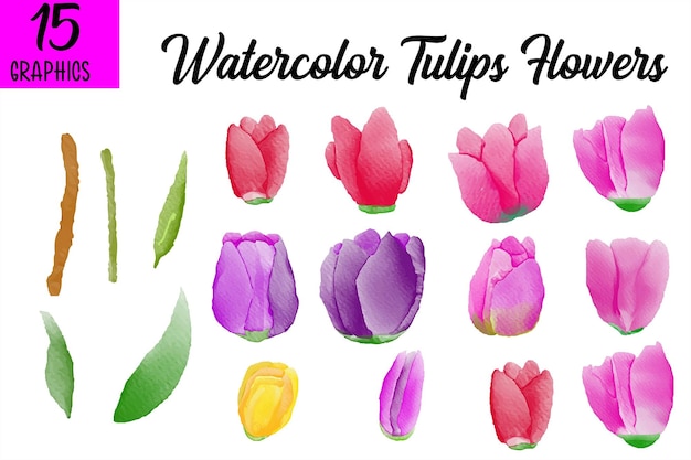 Vektor aquarell blumen grafik clipart premium-vektor