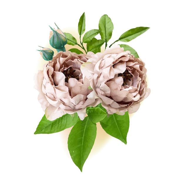 aquarell-blumenarrangement-set