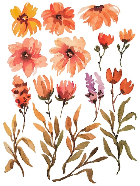 Aquarell blumenelemente