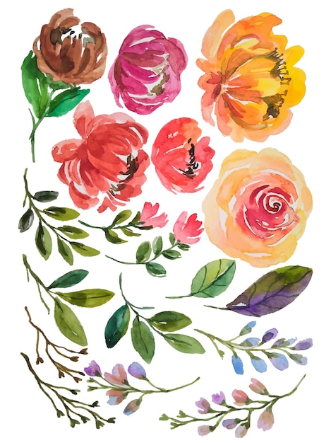 Aquarell blumenelemente