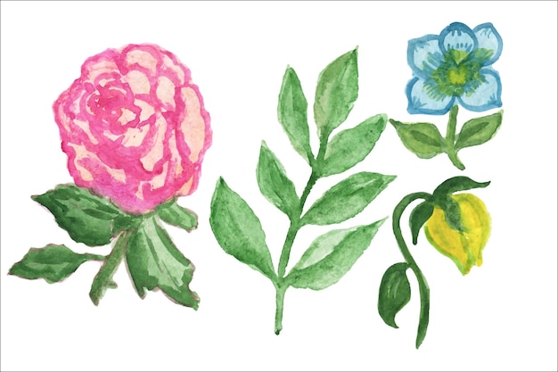 Aquarell blumenset. süße rosa gartenblumen. feldblumen, rosen, gänseblümchen. aquarell-cliparts.