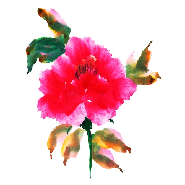 Aquarell Blumenset