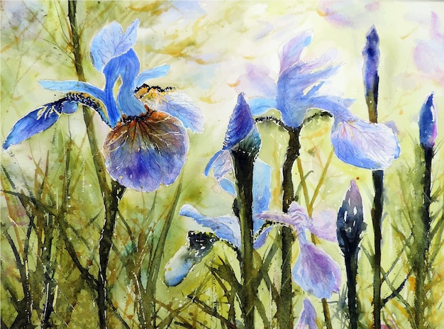 Aquarell Blumensträuße Illustration