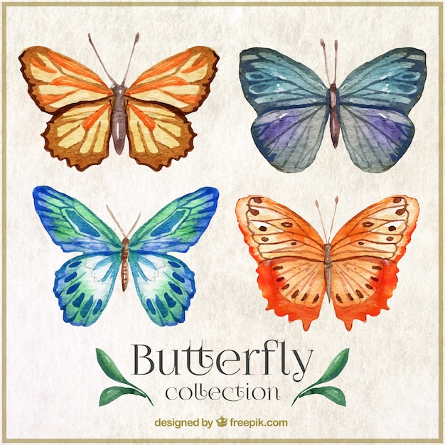 Aquarell butterflyes mit abstrakten ornamenten