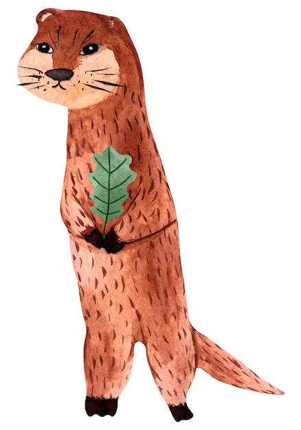 Aquarell-Cartoon-Otter mit Eichenblatt auf weißem Hintergrund