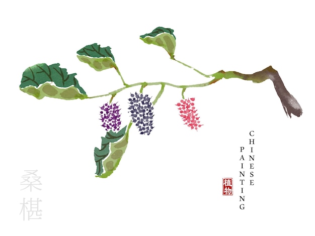 Aquarell chinesische tinte malen kunst illustration naturpflanze aus dem buch der lieder mulberry