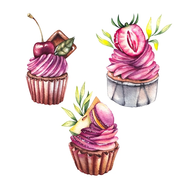 Vektor aquarell cupcakes auf weißem hintergrund