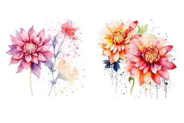 Vektor aquarell-dahlia-blüten vektor