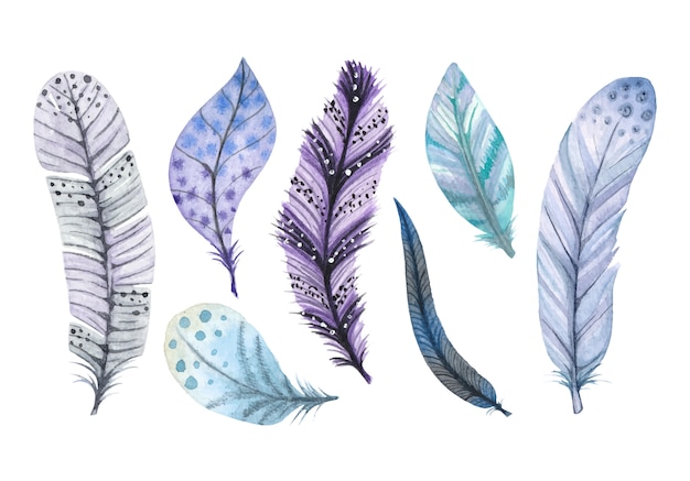 Aquarell dekorative Federn von blauer und violetter Farbe