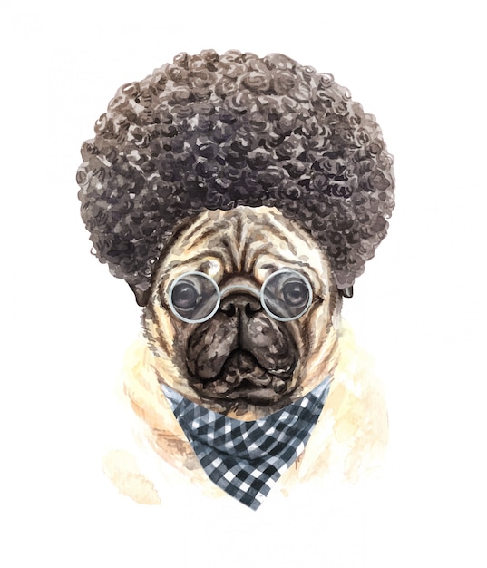 Aquarell Ein Mops mit Brille, kariertem Schal und Afro-Haar.