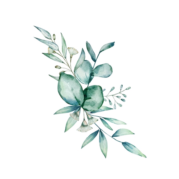 Aquarell-Eukalyptus-Blumenstrauß.