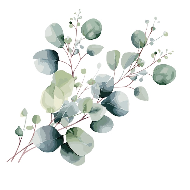 Aquarell Eukalyptus-Brunchrahmen