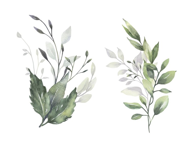 Aquarell Eukalyptussträuße