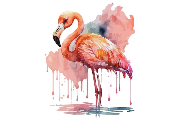 Vektor aquarell flamingo-vektor-illustration