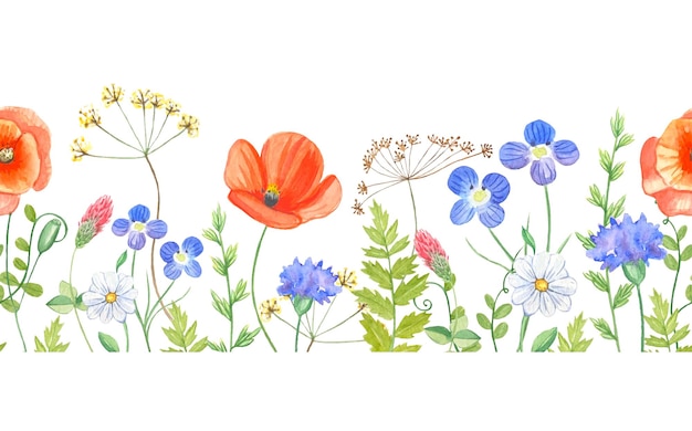 Aquarell florale nahtlose Grenze mit bunten Wildblumenblättern