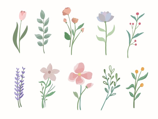 Aquarell florales Element von Pfingstrosen, Rosen, Lavendel und Wildblumen, Vektorgrafik-ClipArt
