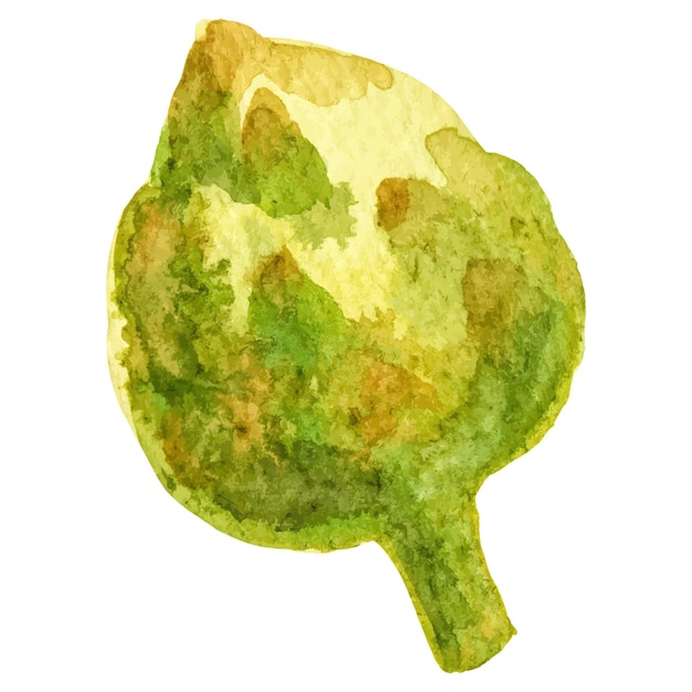 Aquarell gemalte Artischocke Handgezeichnetes Designelement für frisches Essen, isoliert auf weißem Hintergrund