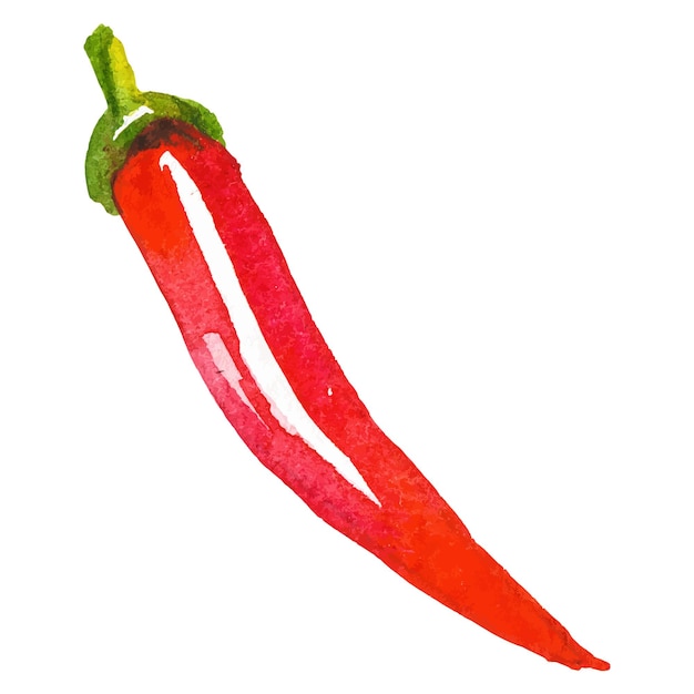 Aquarell gemalte Chili-Pfeffer Hand gezeichnetes frisches Lebensmittel-Design-Element isoliert auf weißem Hintergrund