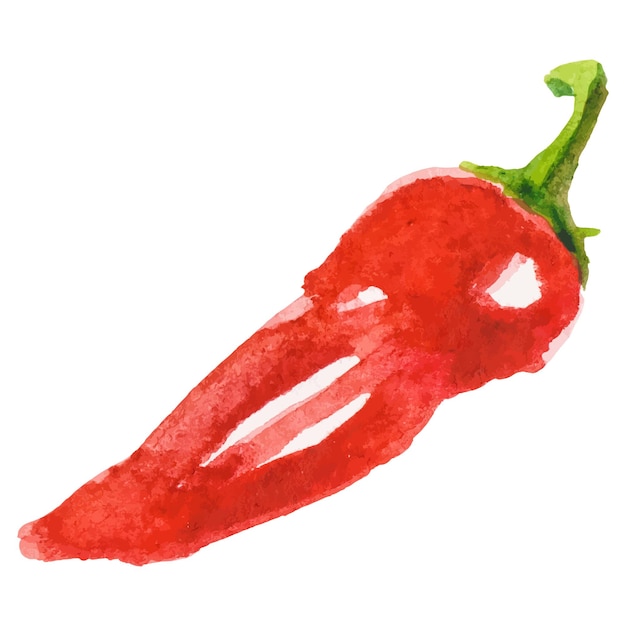 Aquarell gemalte Chili-Pfeffer Hand gezeichnetes frisches Lebensmittel-Design-Element isoliert auf weißem Hintergrund