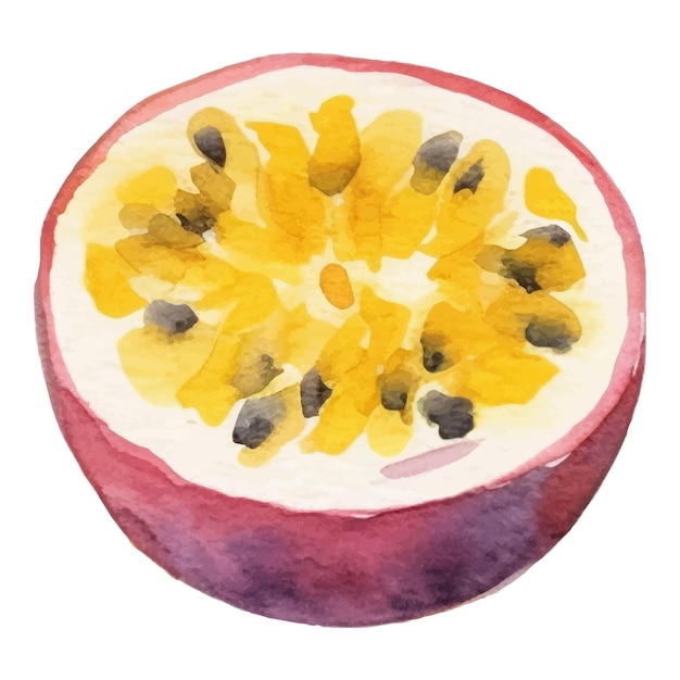 Aquarell gemalte Passionsfrucht Hand gezeichnetes frisches Lebensmittel-Design-Element isoliert auf weißem Hintergrund
