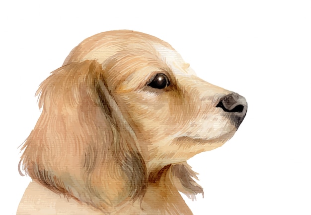 Aquarell gemalter niedlicher hund