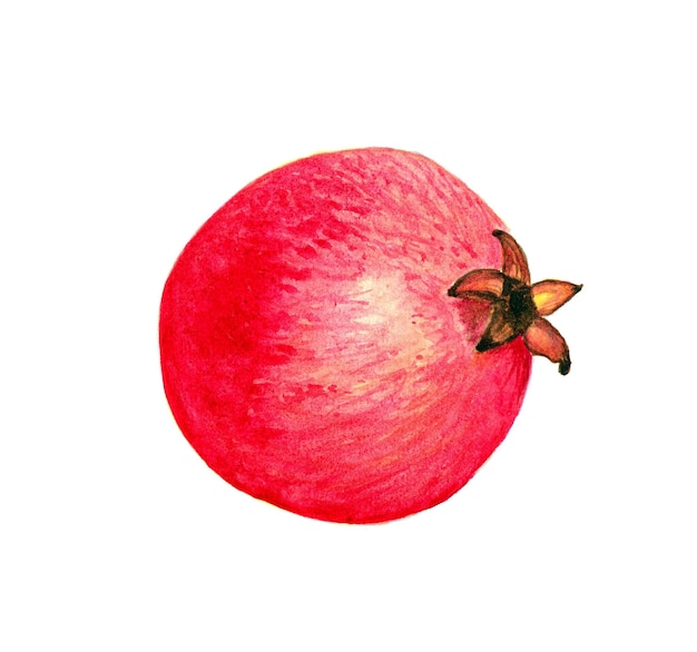 Aquarell Granatapfel