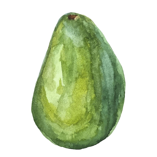 Aquarell handgezeichnet Avocado grün gesunde Bio-Lebensmittel