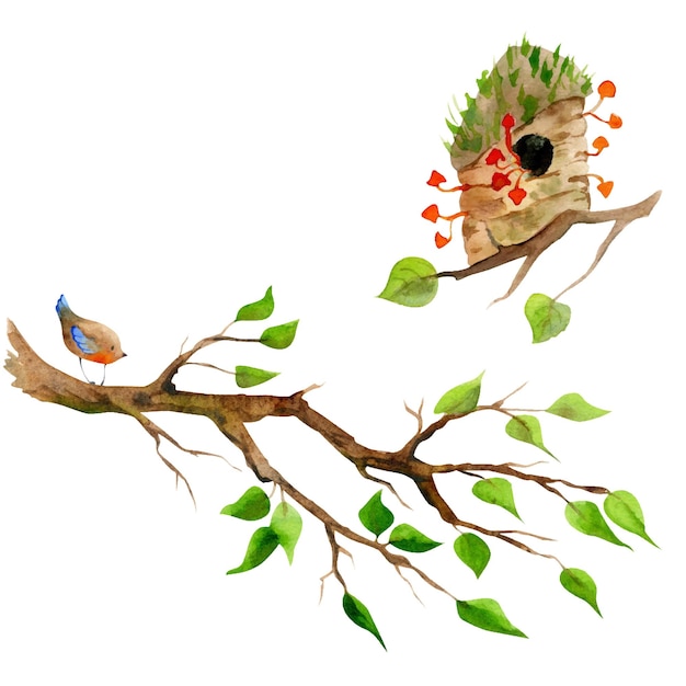 Aquarell handgezeichnetes vogelhaus auf einem ast hinterlässt pilze und einen vogel isoliert auf weißem hintergrund designvorlage für karten, geschenktüten, einladungen, textildruck, tapete für kinder