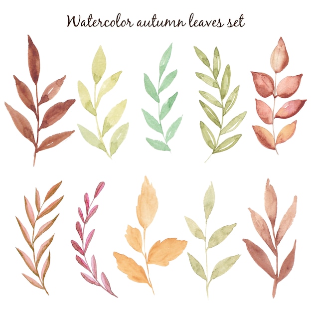 Aquarell Herbst Hand zeichnen Blätter