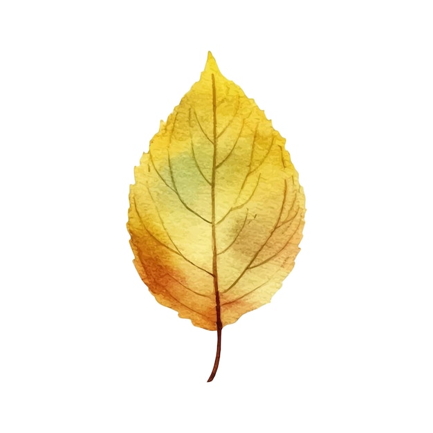 Aquarell-Herbstblatt-Illustration