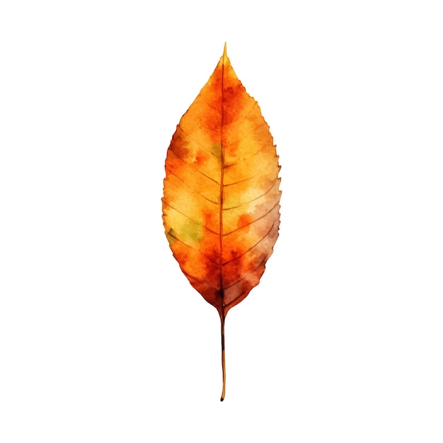 Aquarell-Herbstblatt-Illustration