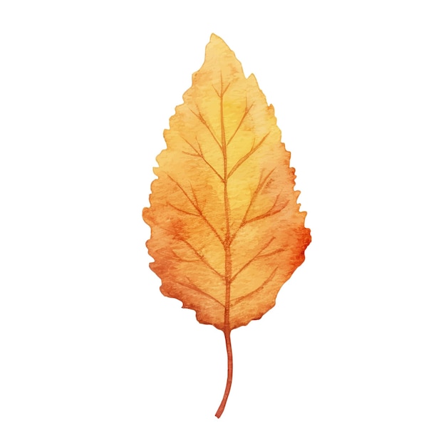 Aquarell Herbstlaub