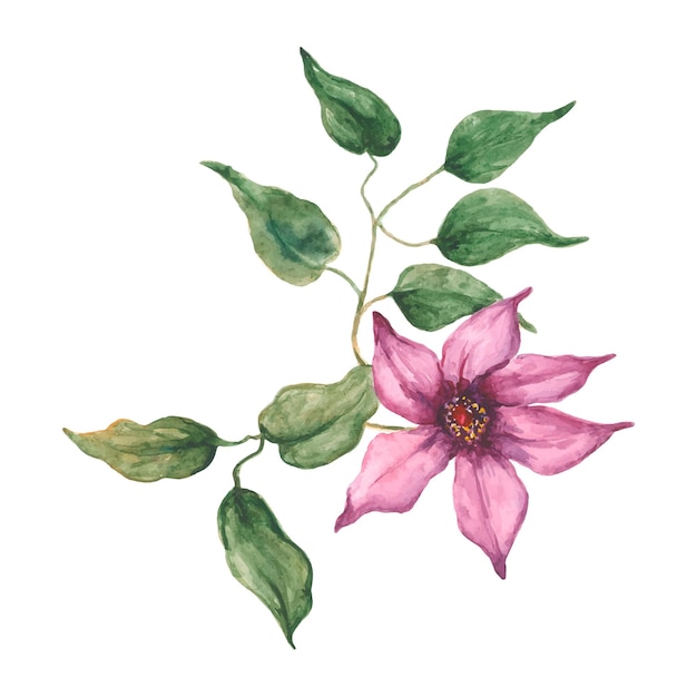 Aquarell-Illustration einer Blume mit Blättern